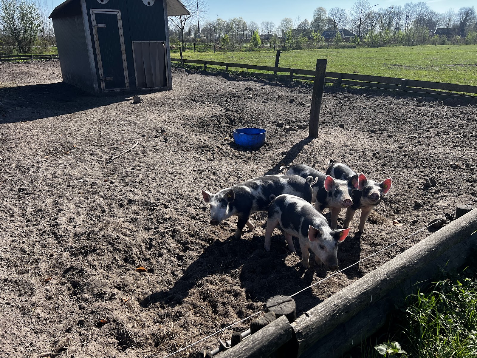 Biologische boerderij 't Schop — foto 4