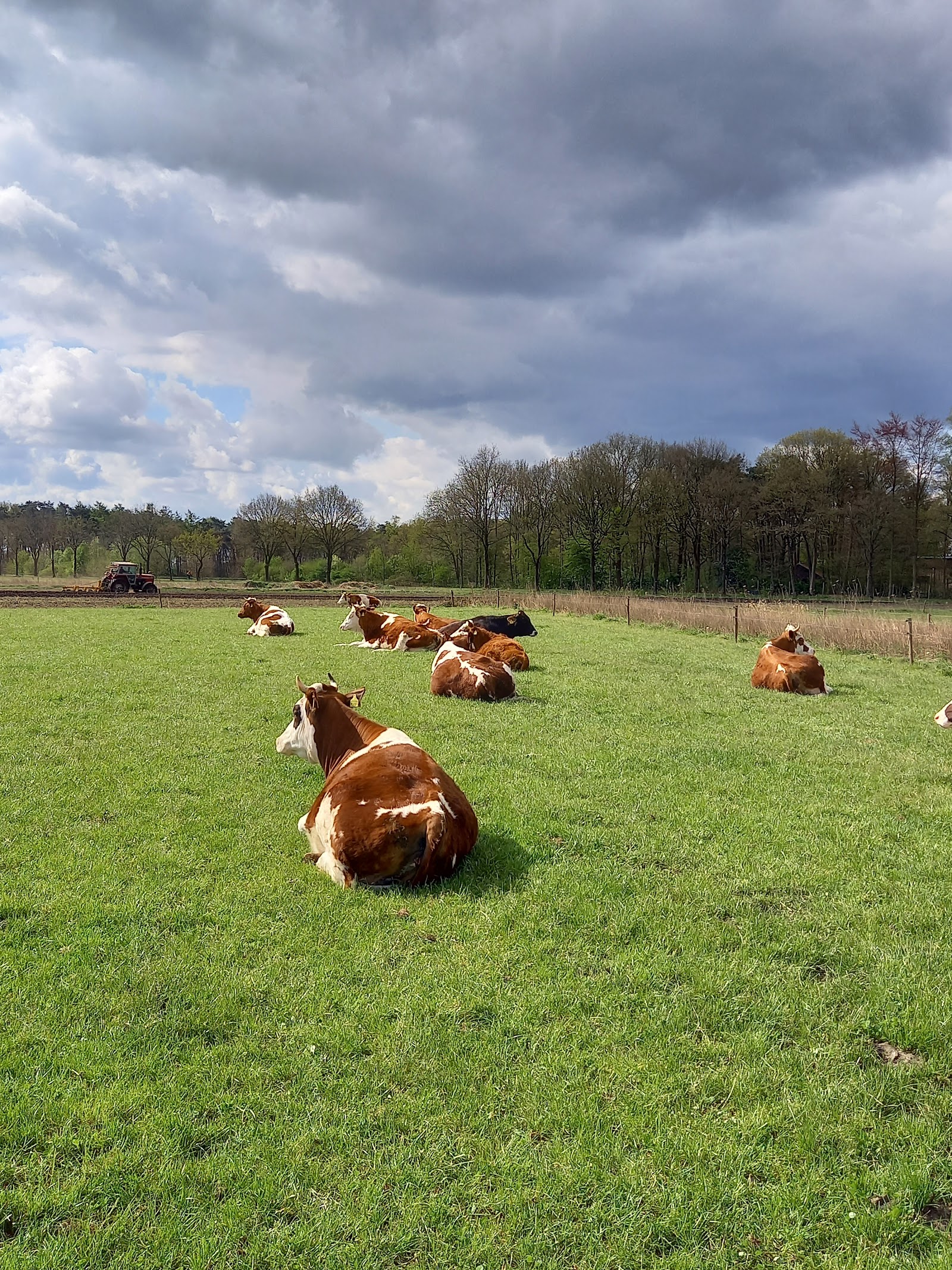 Melktap Biologische melkveehouderij Doortjeshoeve — foto 4