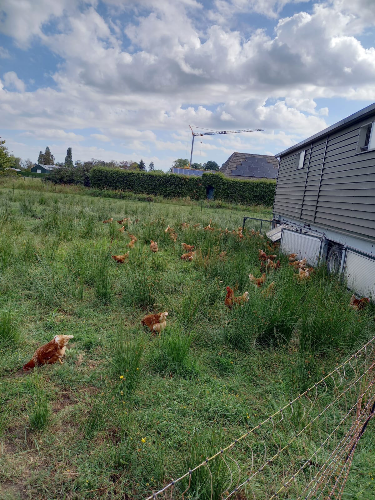 Melktap Biologische melkveehouderij Doortjeshoeve — foto 5