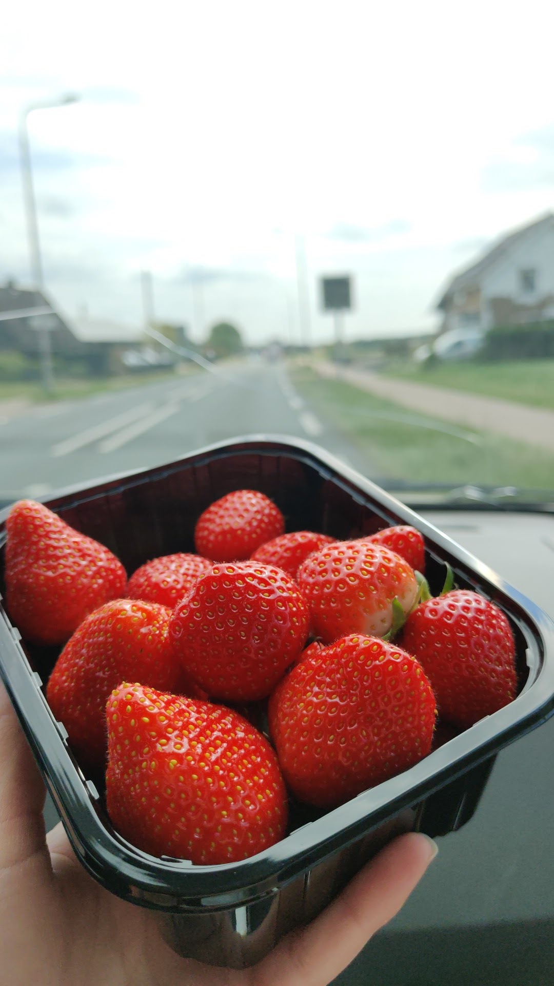 Aardbeienautomaat (Vermeulen Zachtfruit) — foto 5