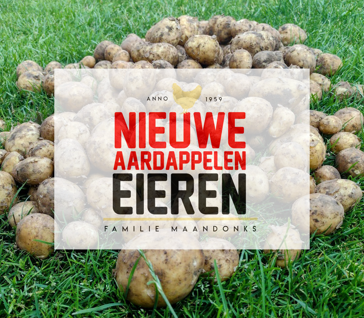 Eieren en Aardappelen Familie Maandonks🥚🥔 — foto 3