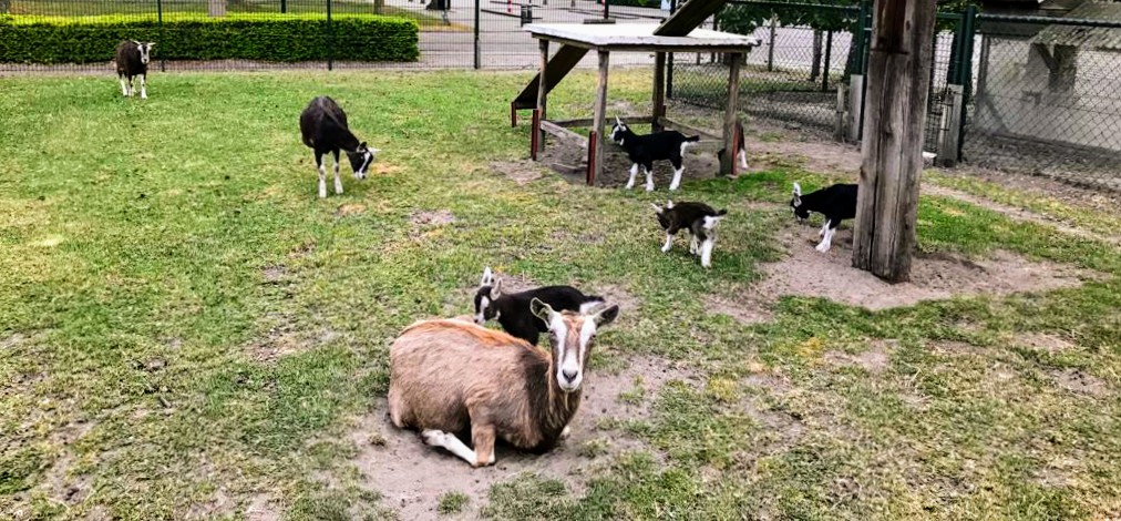 Eieren en Aardappelen Familie Maandonks🥚🥔 — foto 4