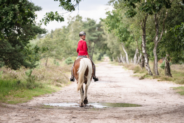 Overnachten met je paard — foto 3