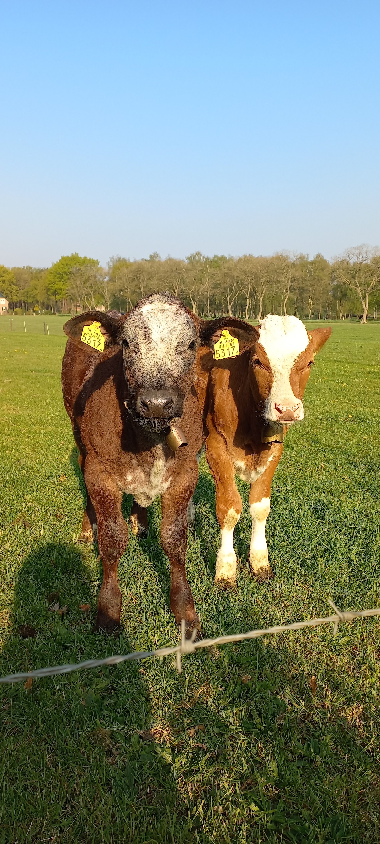 Boerderijwinkel Ons Jos — foto 4
