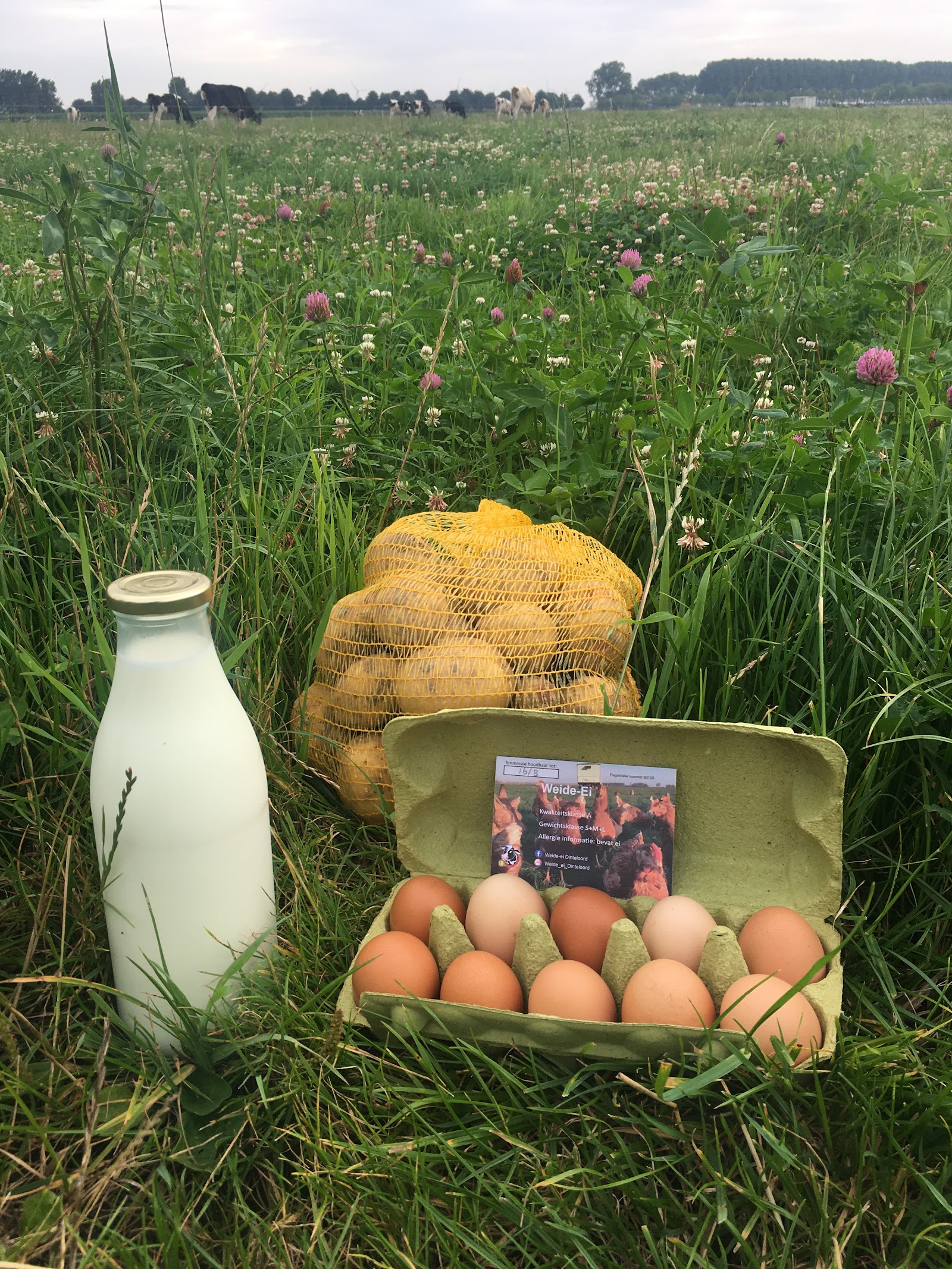 Bio boerderij de Jong Melktap — foto 5