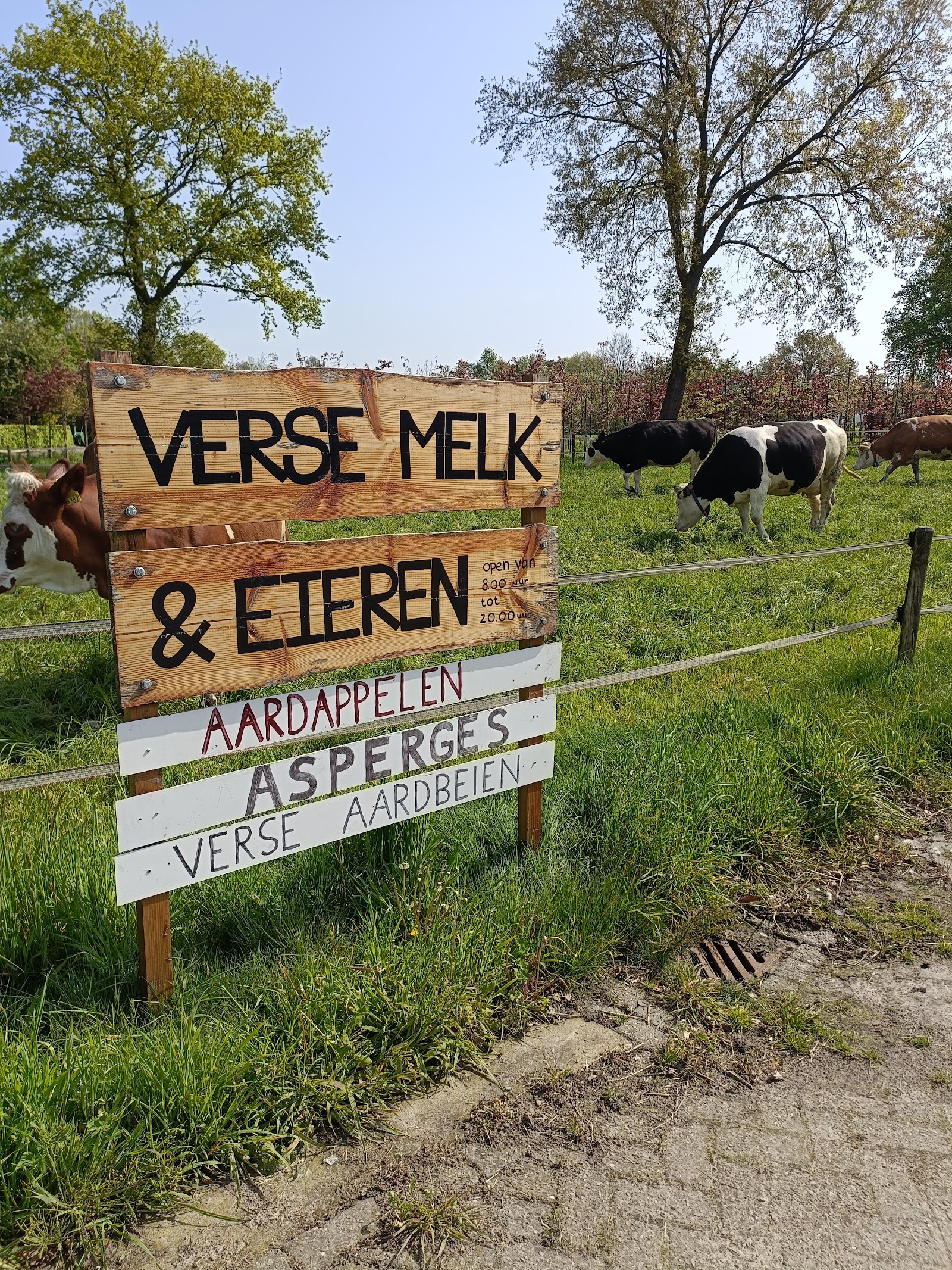 Verse melk en eieren hilvarenbeek — foto 2