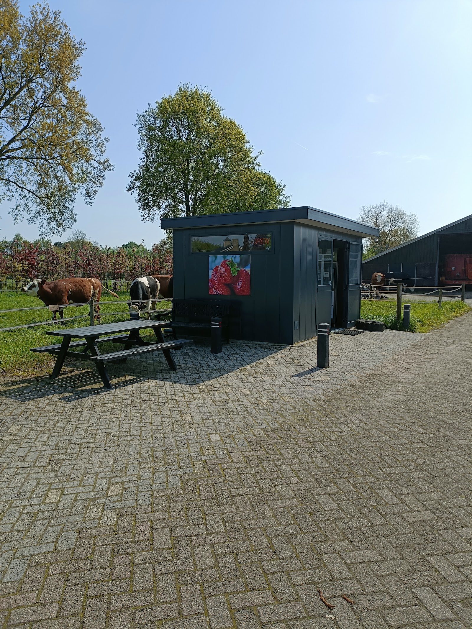 Verse melk en eieren hilvarenbeek — foto 4