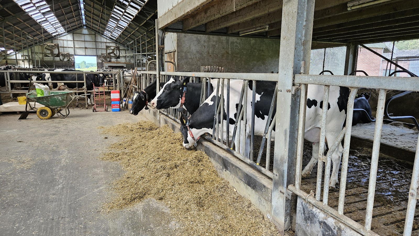 Melktap de Leegvelder (van Leeuwen-Manders V.O.F.) — foto 3