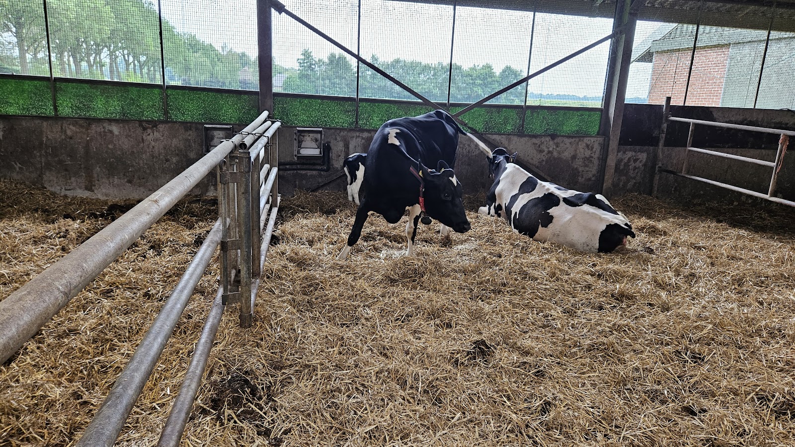 Melktap de Leegvelder (van Leeuwen-Manders V.O.F.) — foto 5