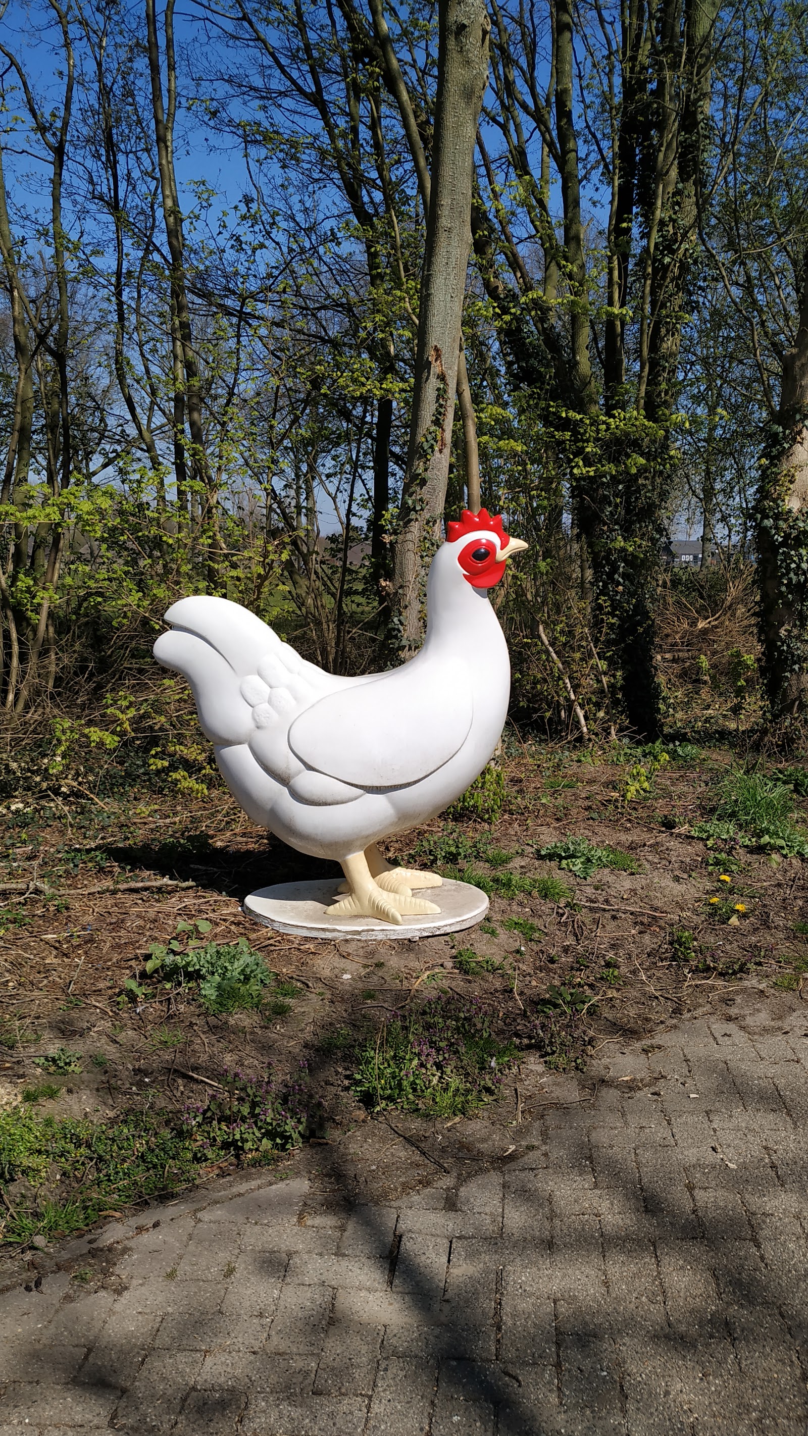 Eier- & Aspergeboerderij Fam. Latijnhouwers — foto 2