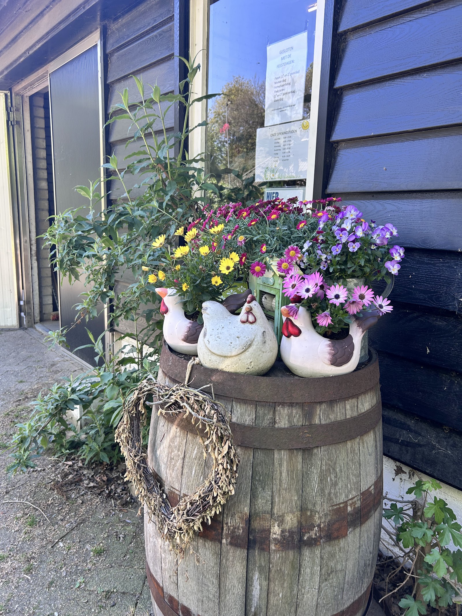 Eier- & Aspergeboerderij Fam. Latijnhouwers — foto 4