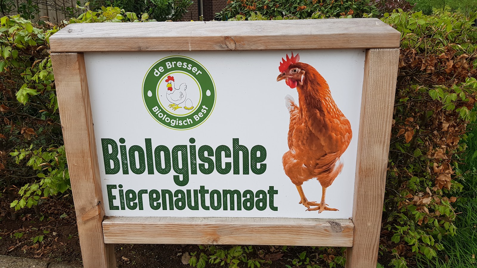 Biologische eierenautomaat — foto 2