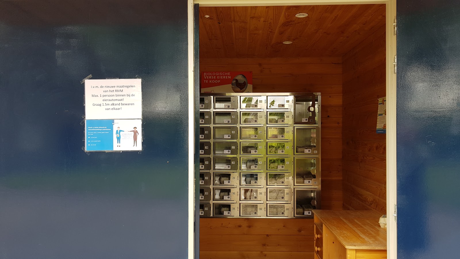 Biologische eierenautomaat — foto 3