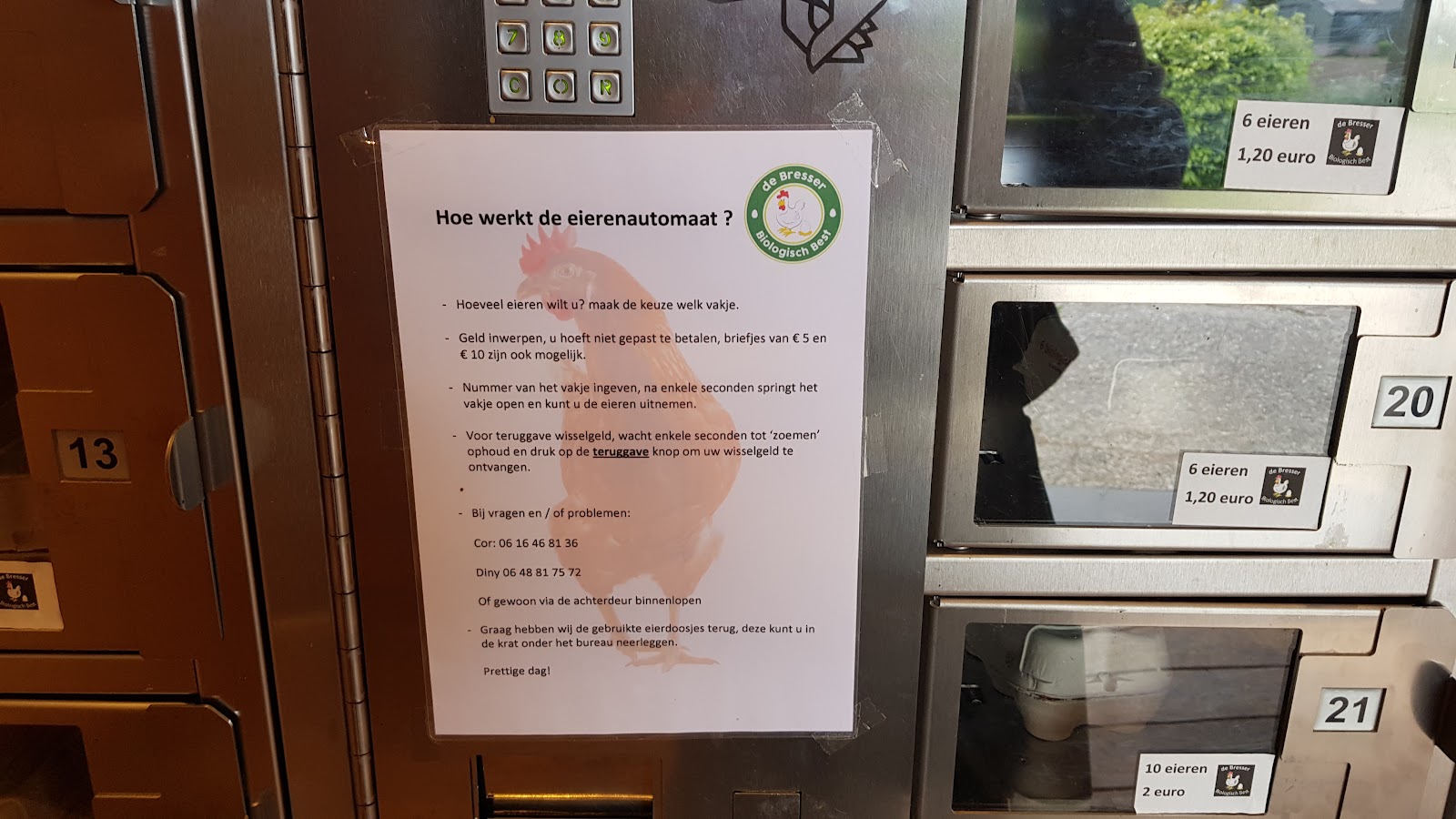 Biologische eierenautomaat — foto 5