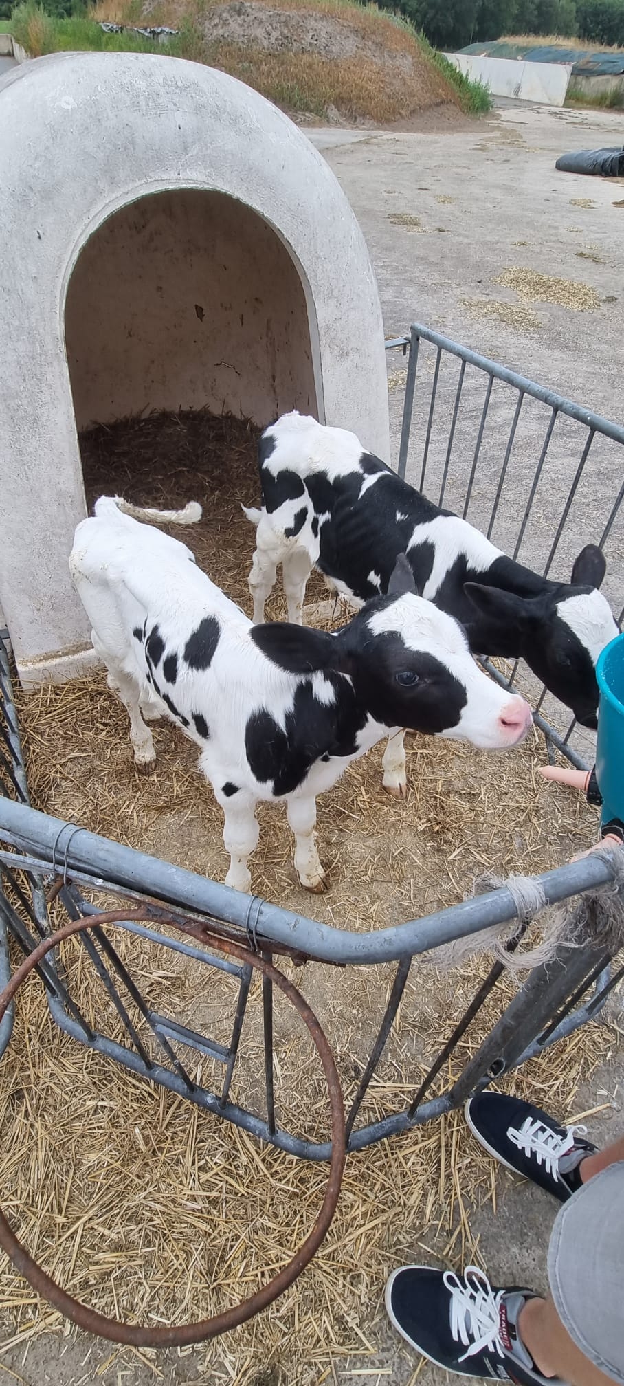 Melktap Ulicoten — foto 4