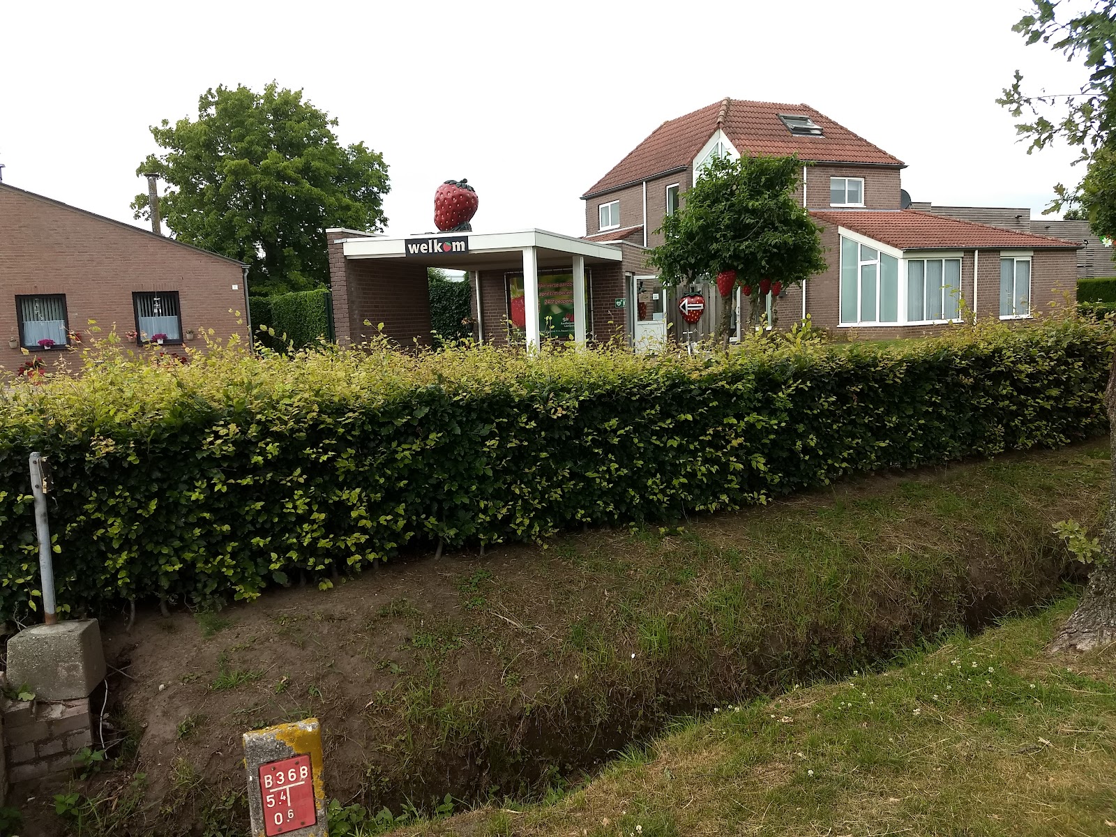 Lavrijsen Aardbeien Automaat — foto 3