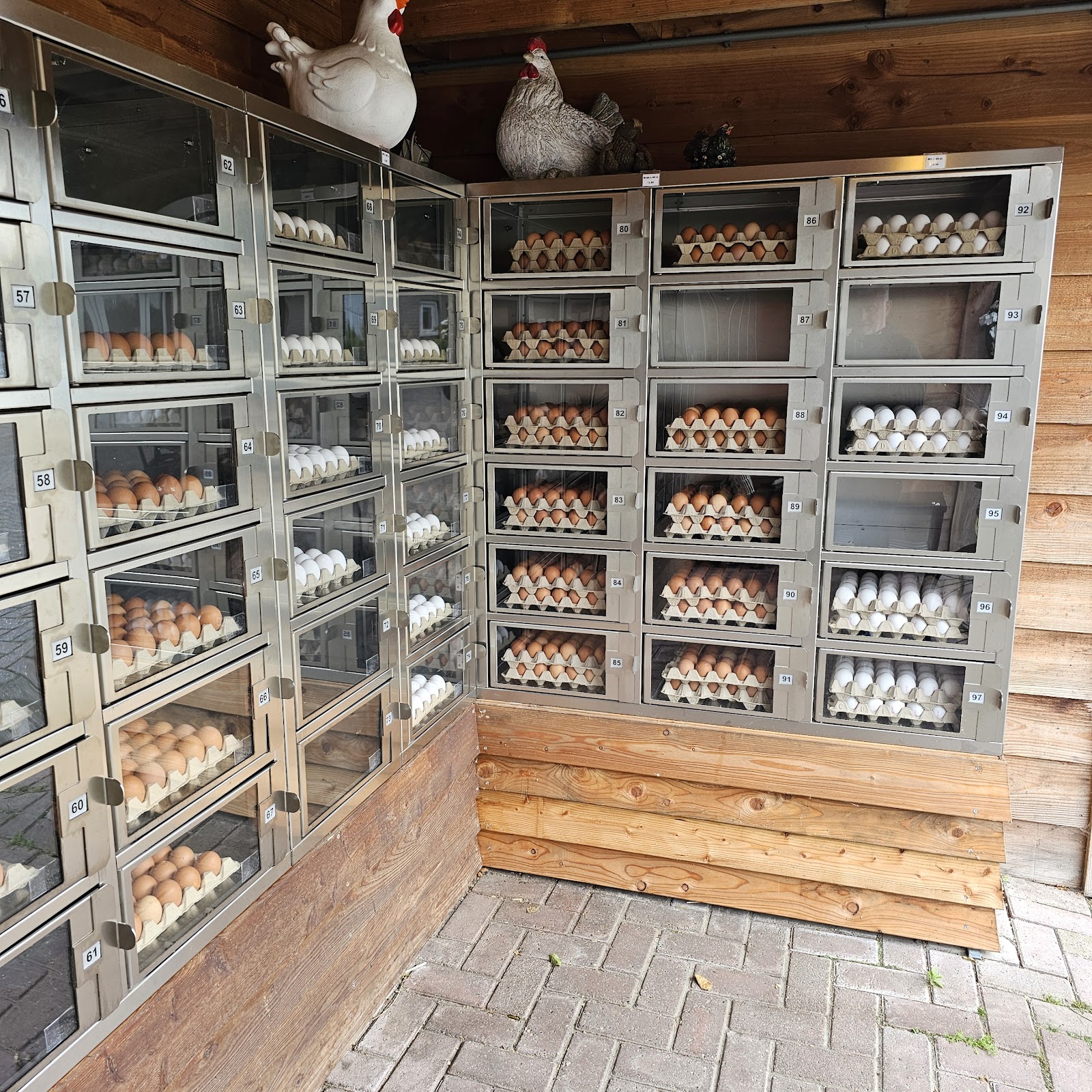 Vermeulen Eieren — foto 2
