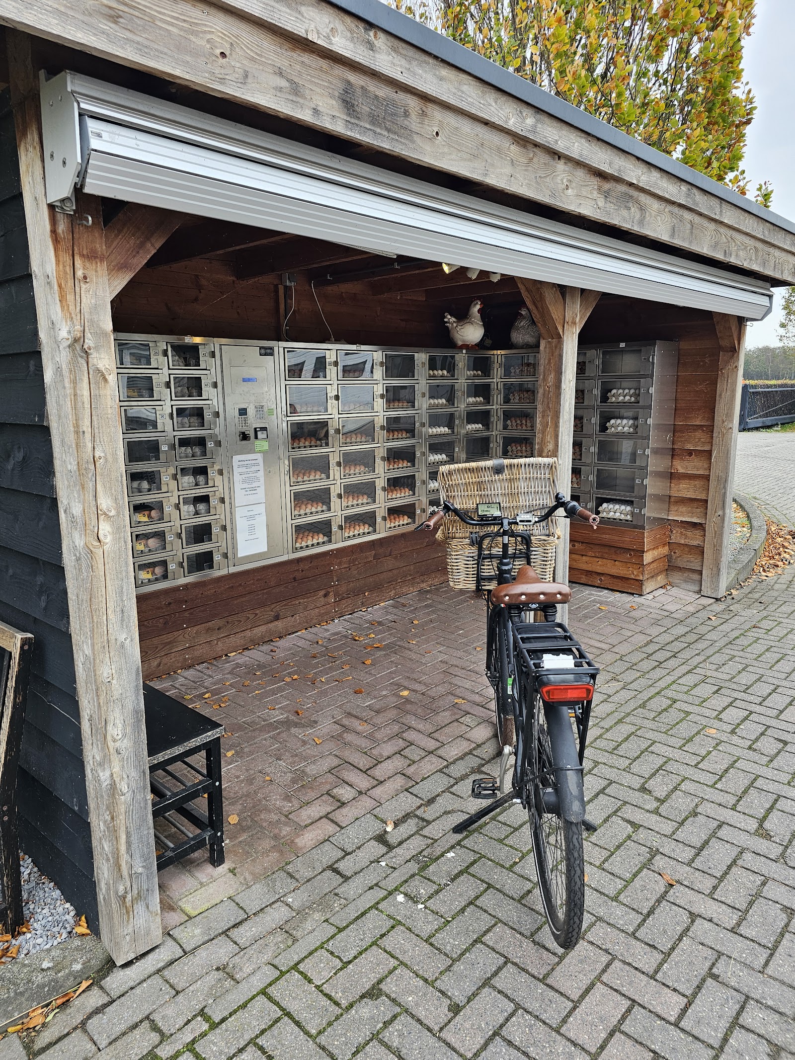Vermeulen Eieren — foto 3