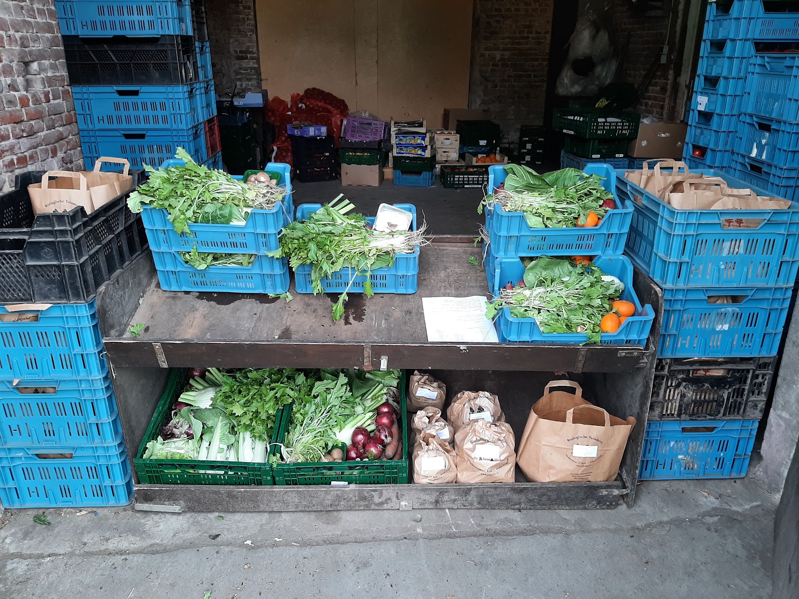 Biologisch Tuinbouwbedrijf de Twee Linden — foto 2