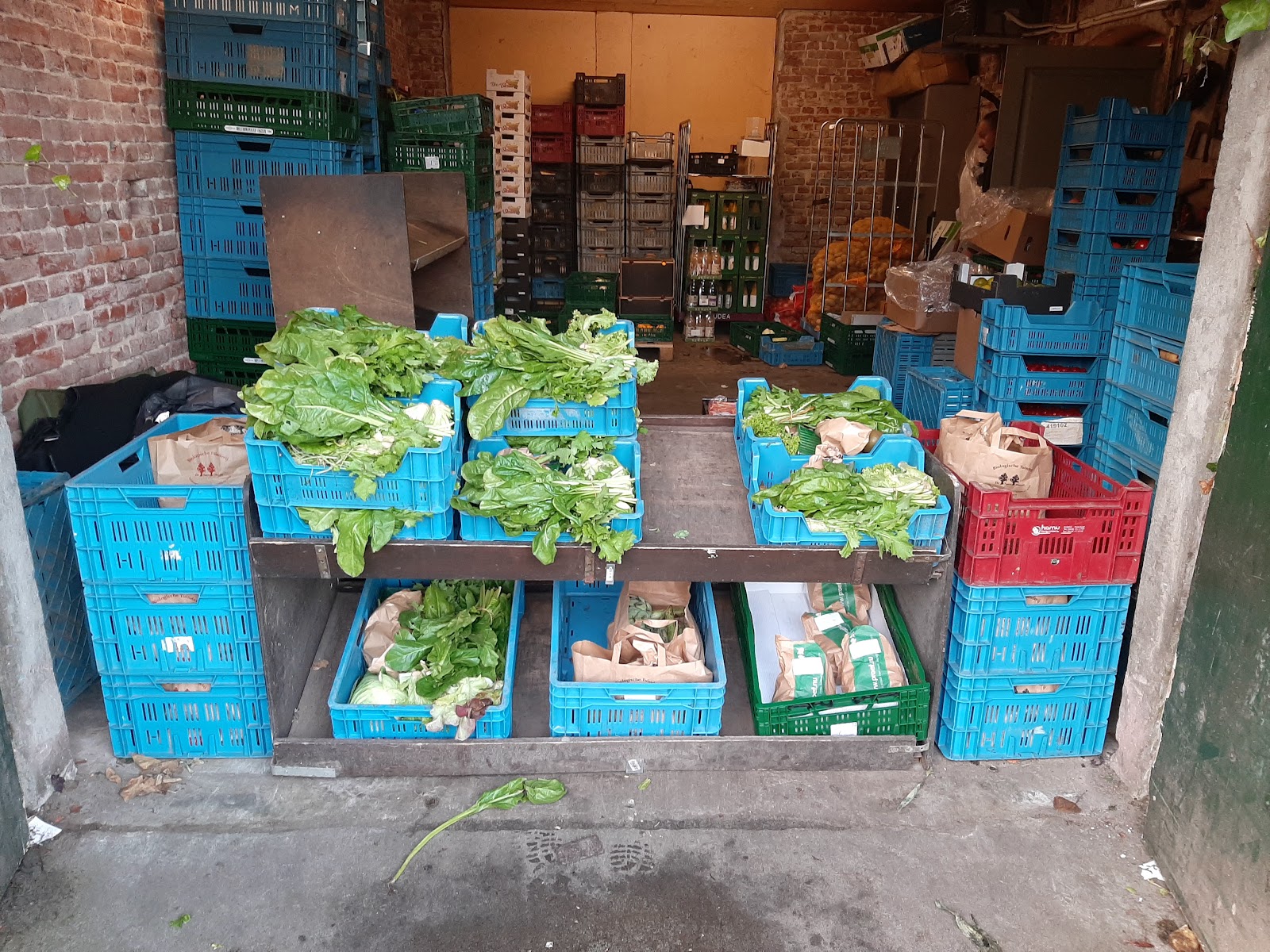 Biologisch Tuinbouwbedrijf de Twee Linden — foto 5