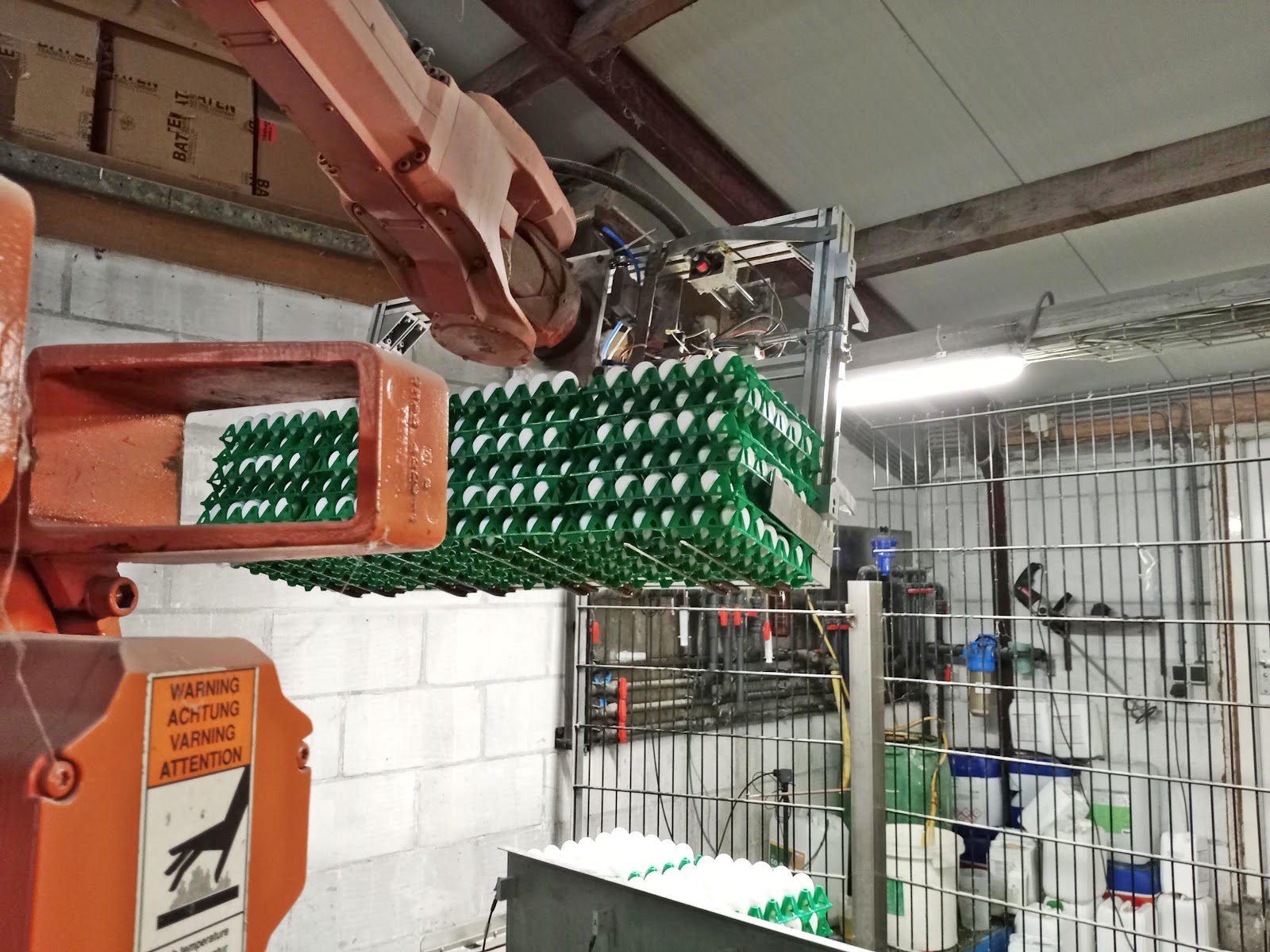 Duis Scharrelfarm — foto 3