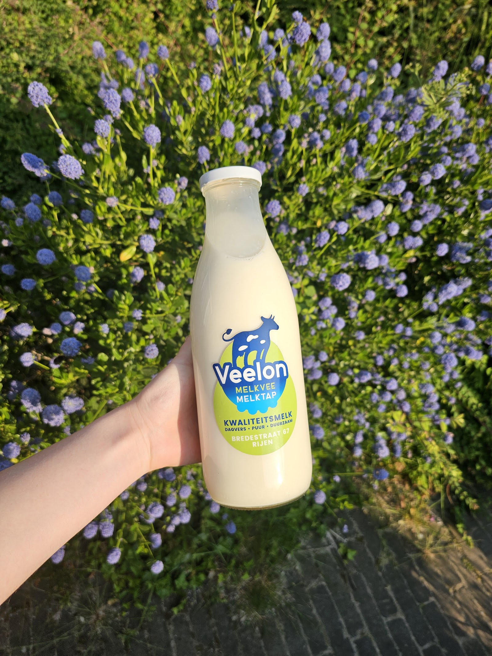 Veelon Melkvee & Melktap — foto 2