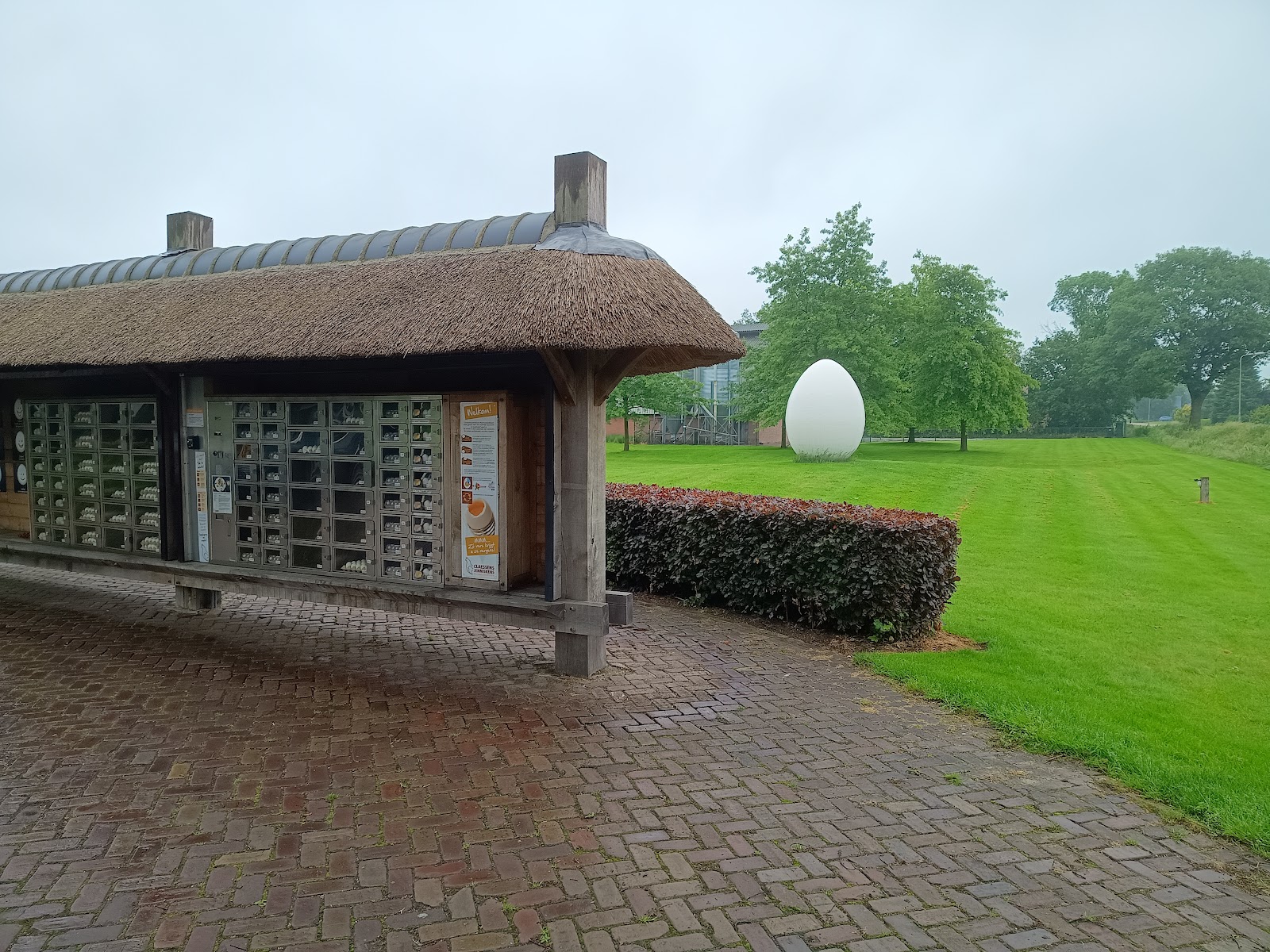 Eitje van de boerin — foto 3