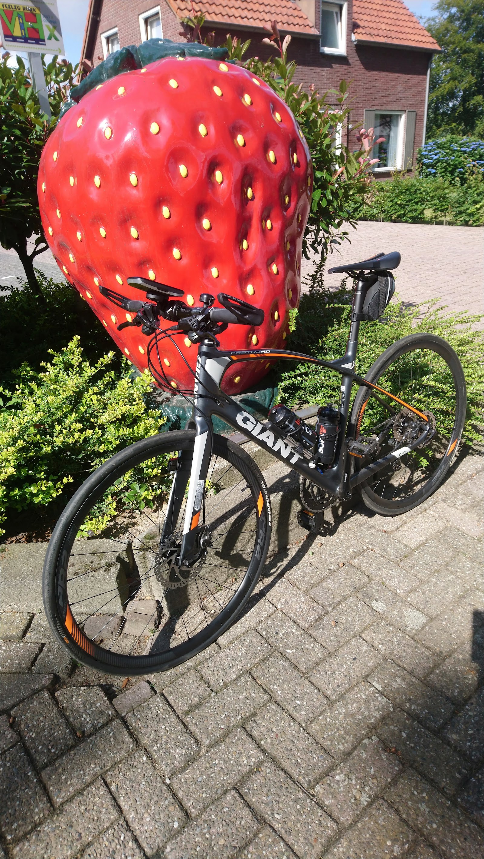 Aardbeienkwekerij Lavrijsen B.v. — foto 5