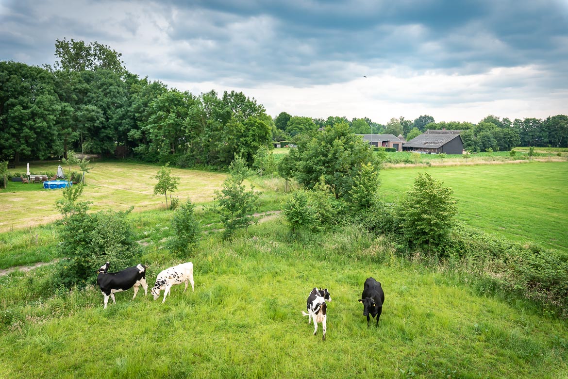 Boerderijwinkel Piet van Meintjes Hoeve — foto 4