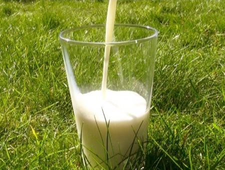 melktap de oude melkstal — foto 2