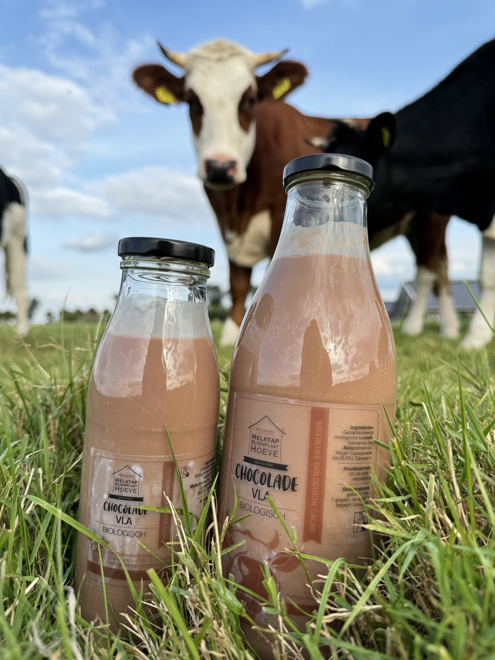 Melktap De Bloemplaat Hoeve — foto 4