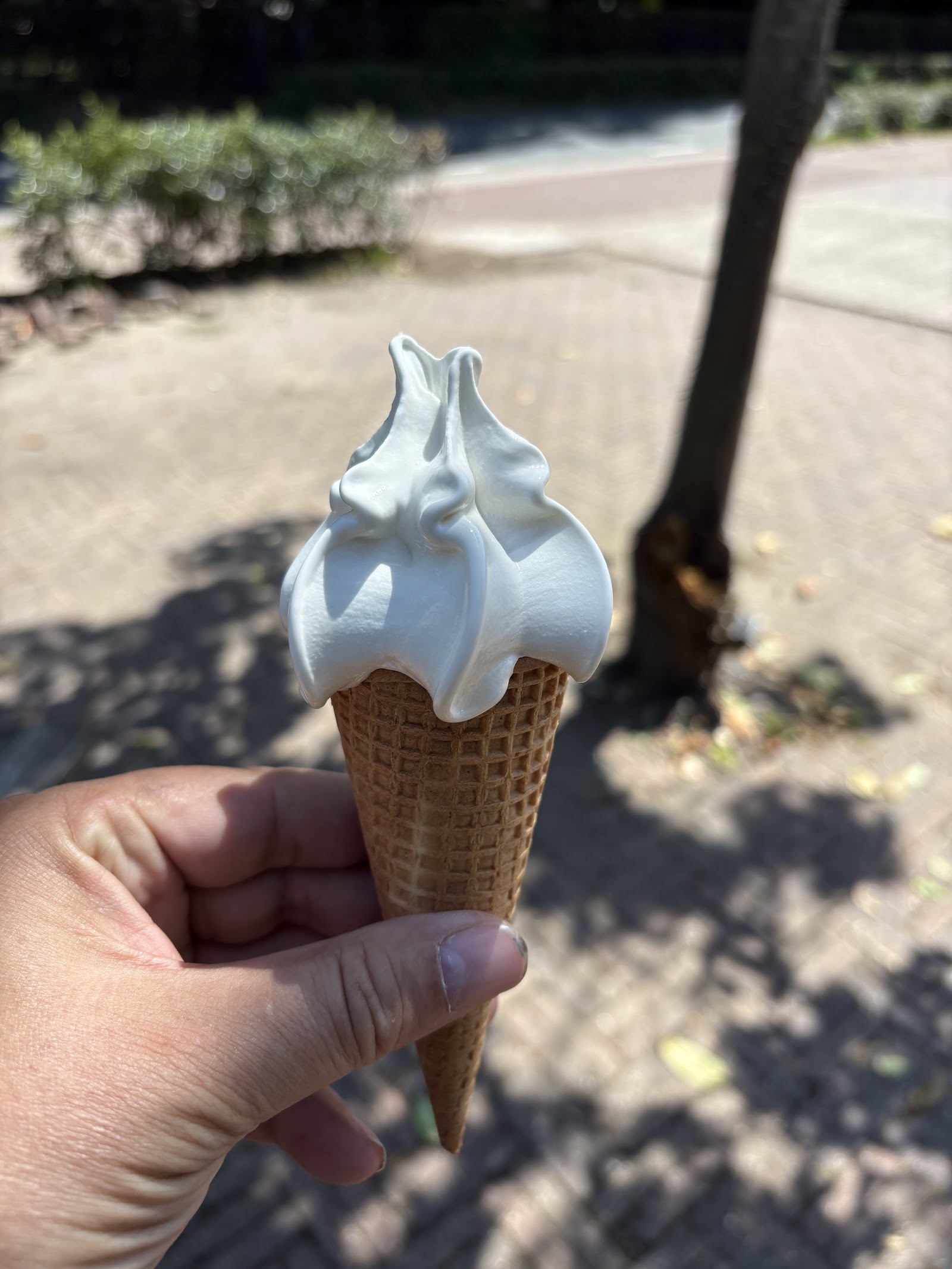 Melktap Melkveehouderij Van Gastel — foto 4