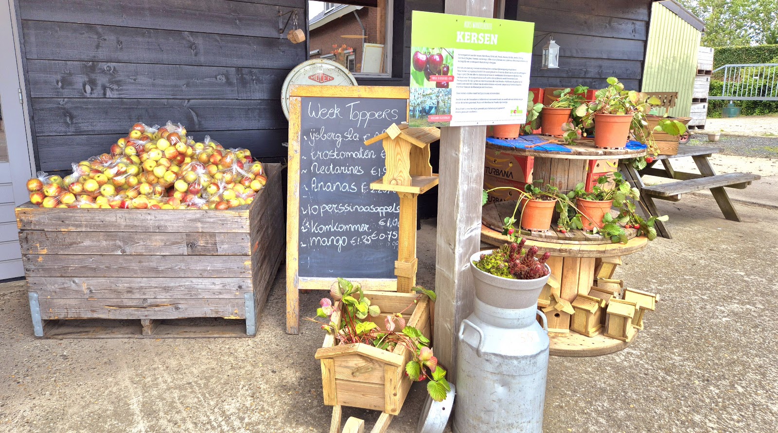 Roks Fruitteler L P — foto 2